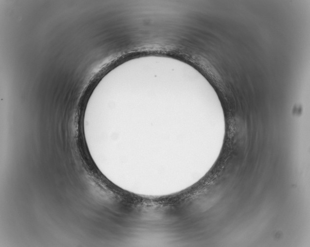 X0000090740632200708101703