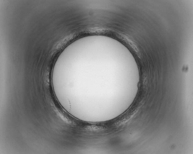 X0000090740633200708101703