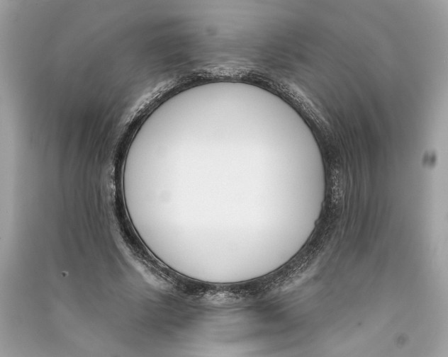 X0000090740634200708101703