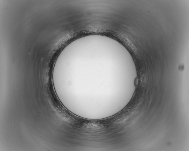 X0000090740635200708101703