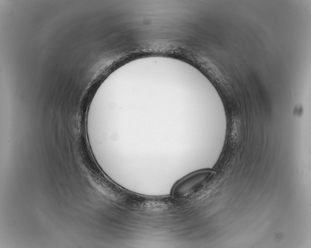 X0000090740636200708101703