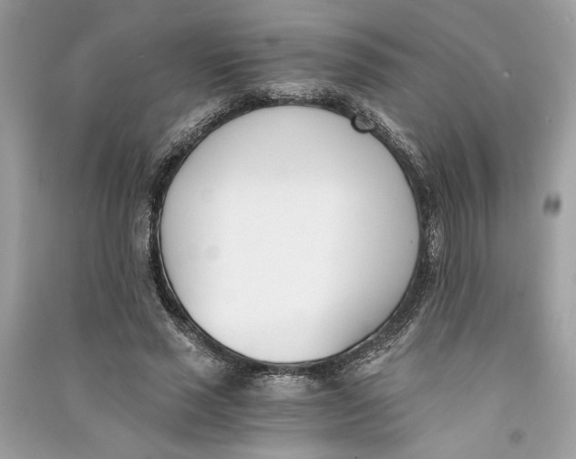 X0000090740637200708101703