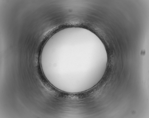 X0000090740640200708101703