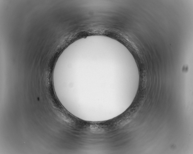 X0000090740641200708101703