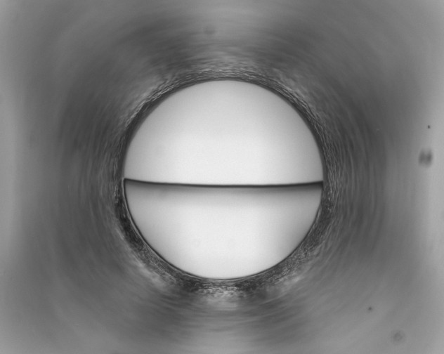 X0000090740642200708101703