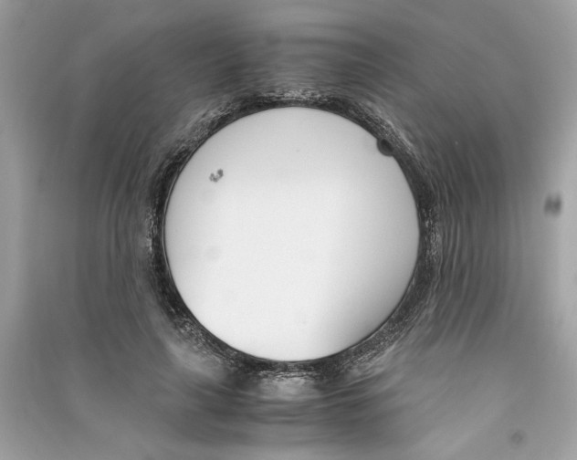 X0000090740643200708101703