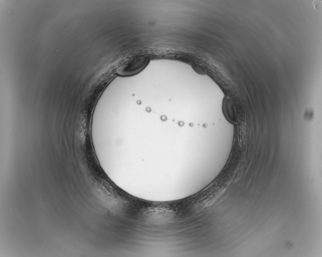 X0000090740644200708101703