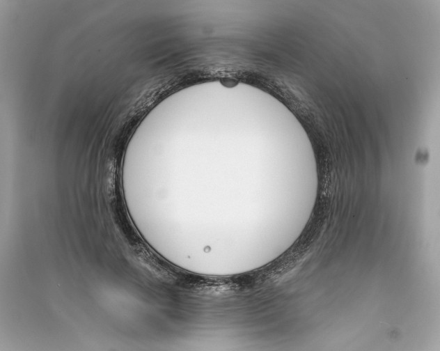 X0000090740646200708101704