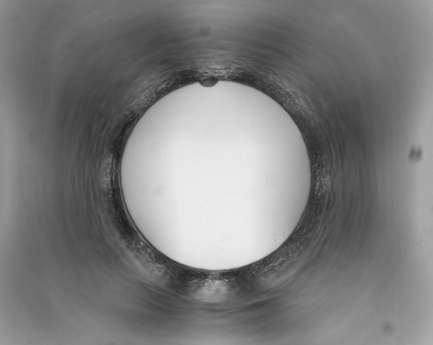 X0000090740647200708101704