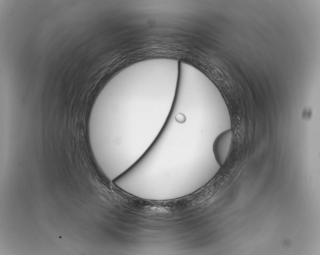 X0000090740649200708101704