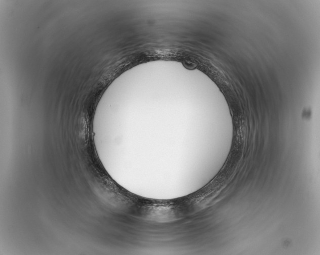 X0000090740651200708101704