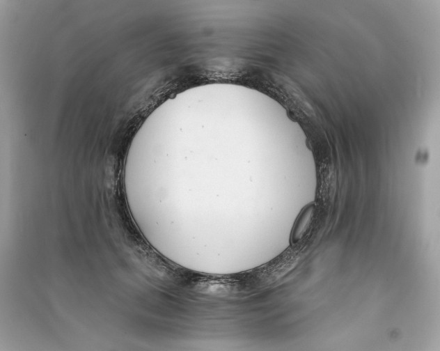 X0000090740655200708101704