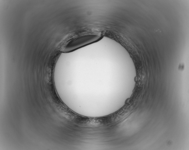 X0000090740656200708101704