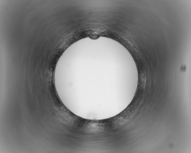 X0000090740657200708101704