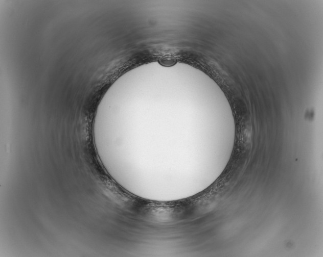 X0000090740658200708101704