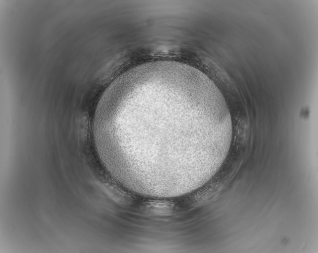 X0000090740659200708101704