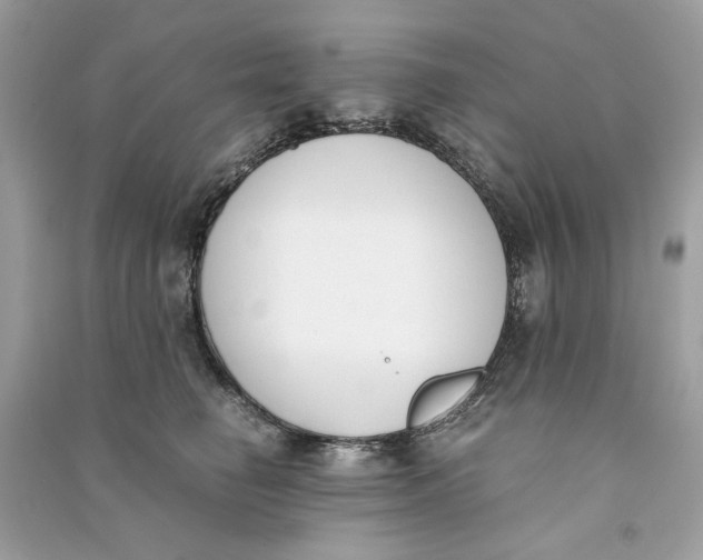 X0000090740662200708101704