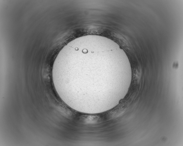 X0000090740663200708101704