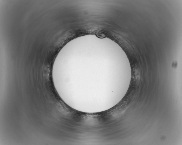 X0000090740664200708101704