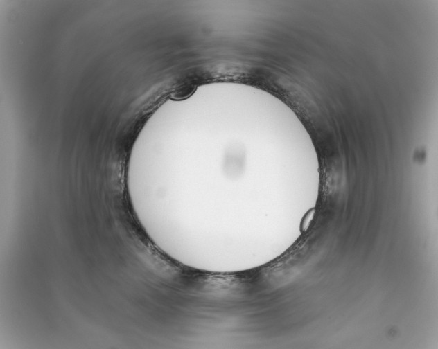 X0000090740666200708101704