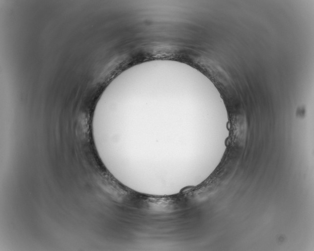 X0000090740667200708101704