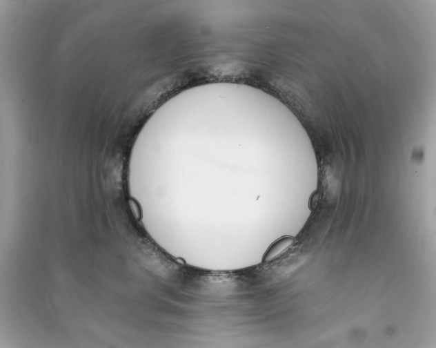 X0000090740668200708101704