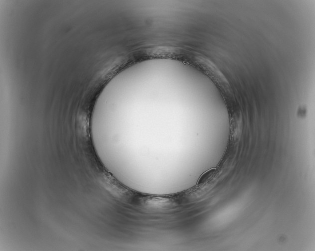 X0000090740669200708101704