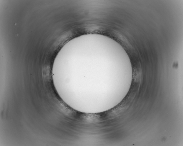 X0000090740670200708101704