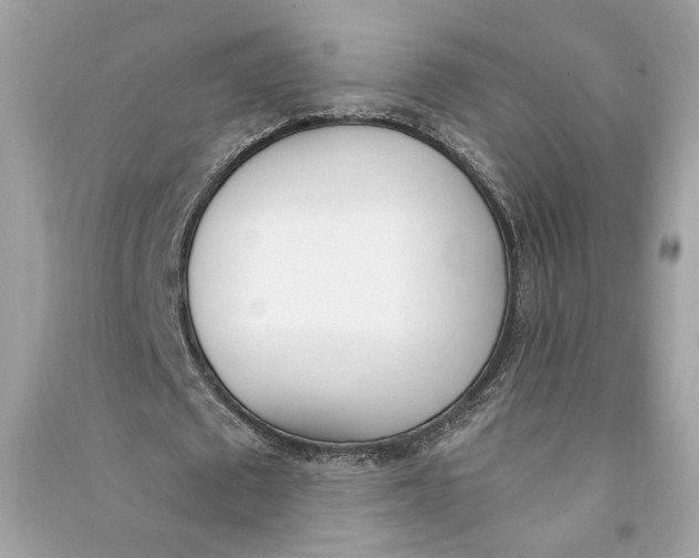 X0000090740673200708101703