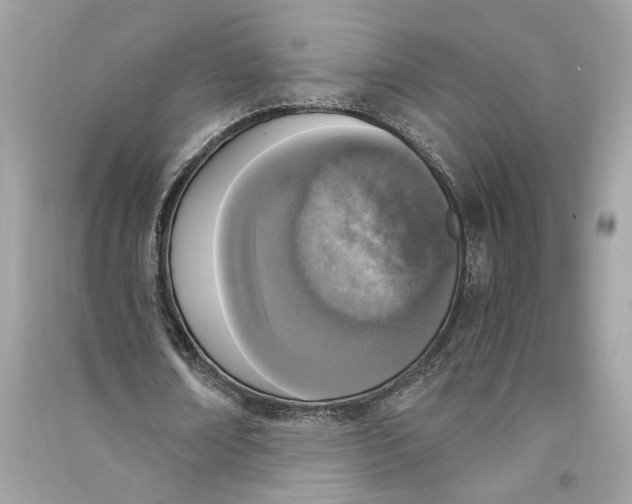 X0000090740674200708101703