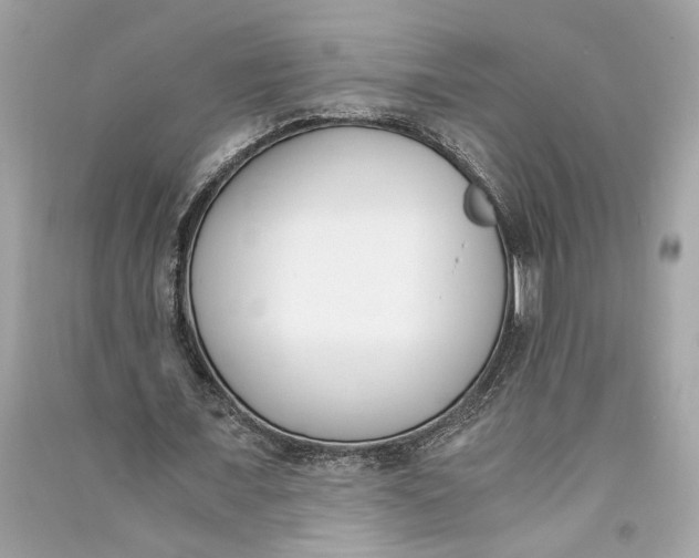 X0000090740675200708101703