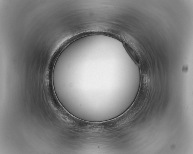 X0000090740676200708101703