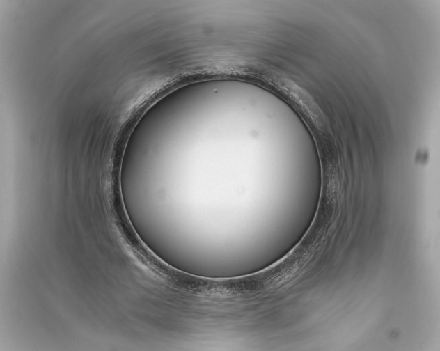 X0000090740677200708101703