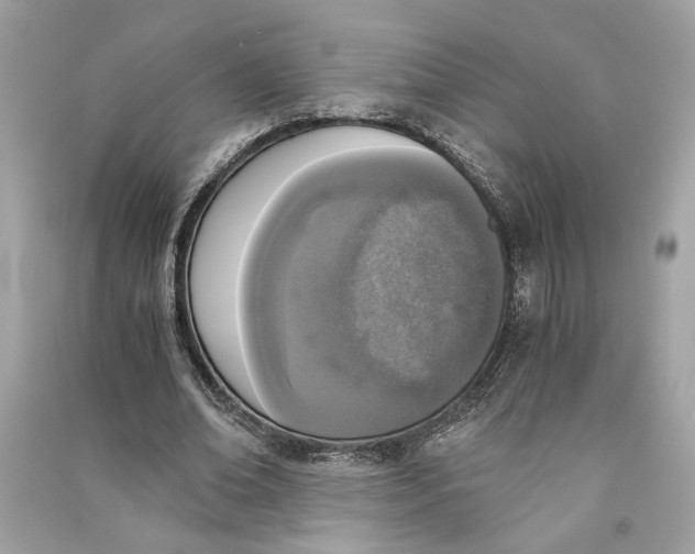 X0000090740678200708101703