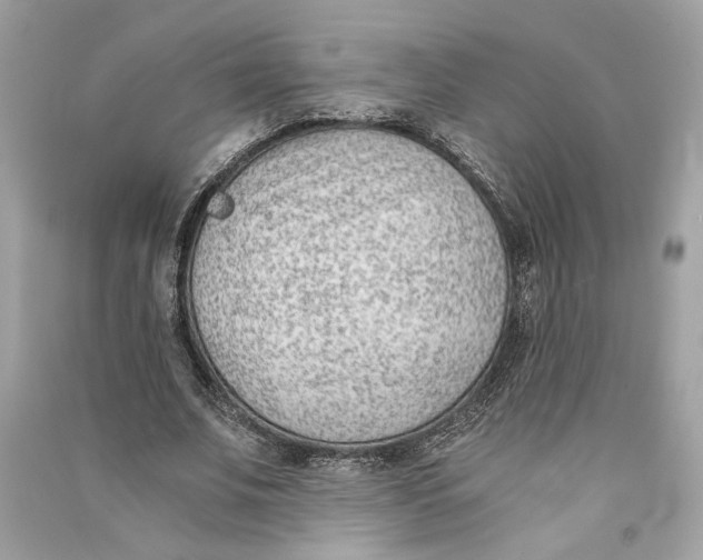 X0000090740679200708101703