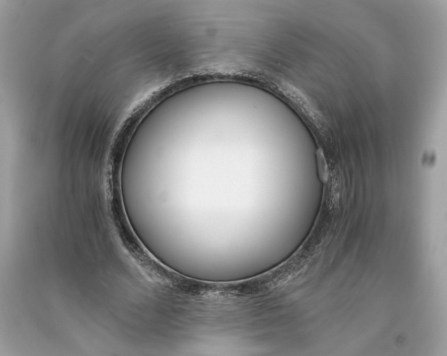 X0000090740680200708101703