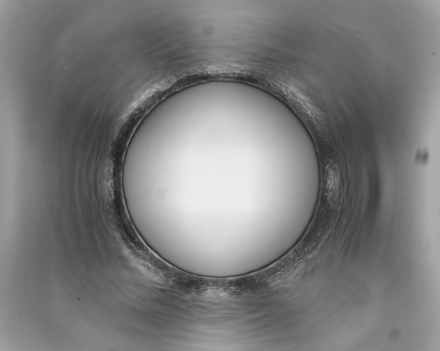 X0000090740684200708101703