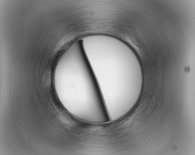 X0000090740685200708101703