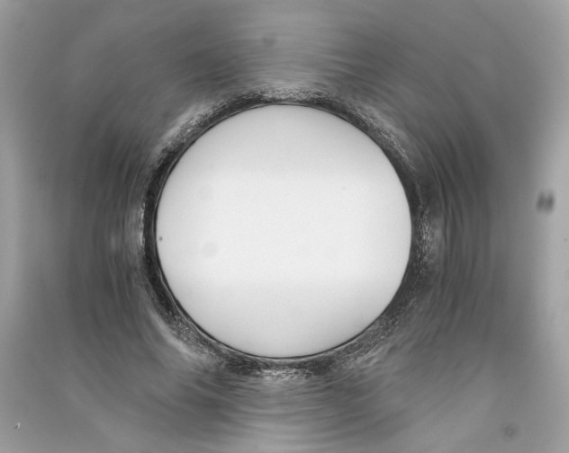 X0000090740686200708101703