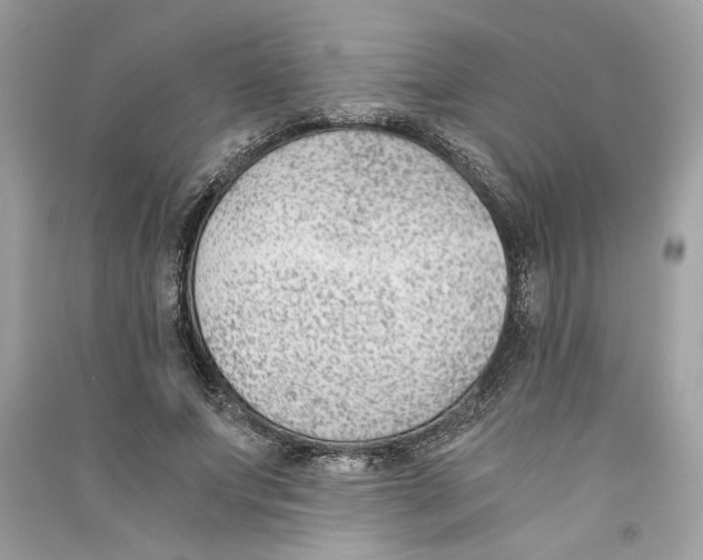 X0000090740687200708101703