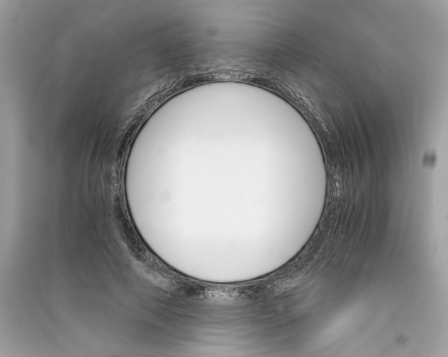 X0000090740690200708101703