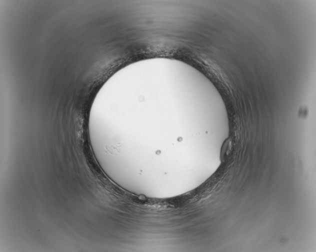 X0000090740693200708101703