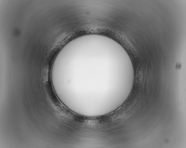 X0000090740694200708101703