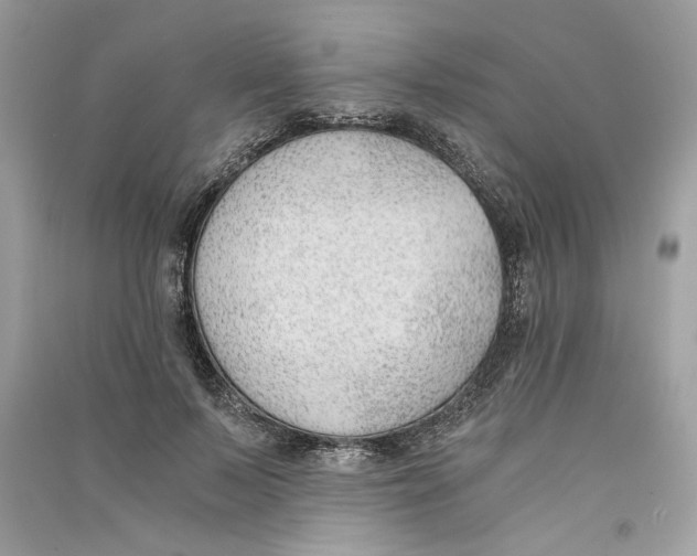 X0000090740695200708101703