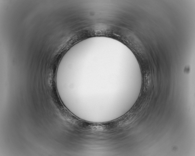 X0000090740698200708101703