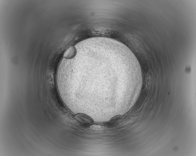 X0000090740699200708101703