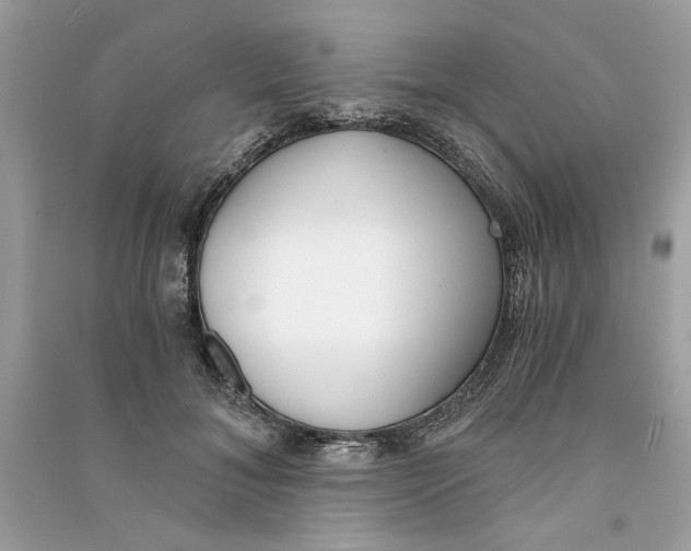 X0000090740700200708101703