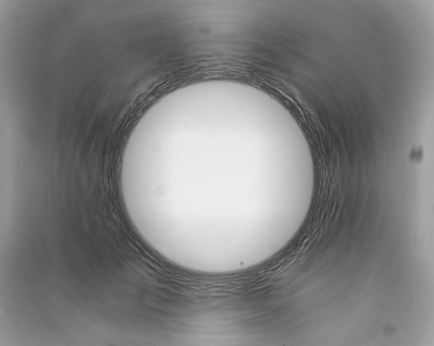 X0000090740701200708101703