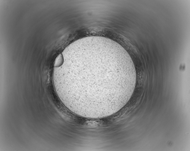 X0000090740703200708101703