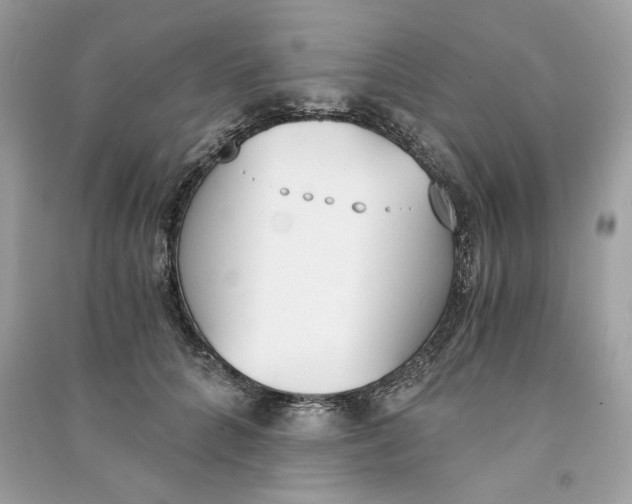 X0000090740704200708101703